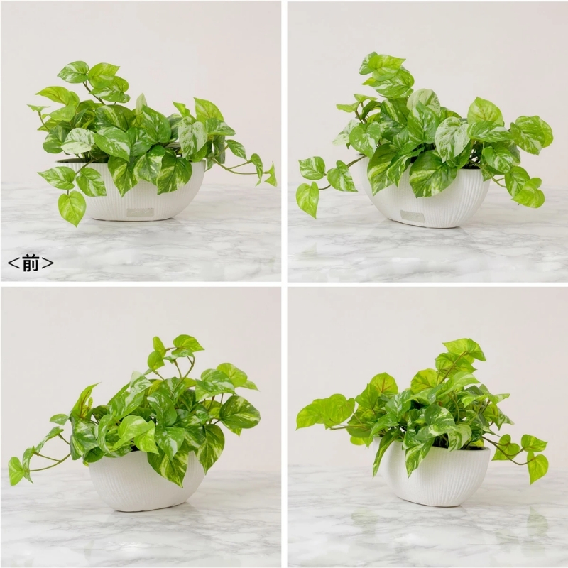 アートフラワー エミリオ・ロバ ポトスL TTTTA-05120