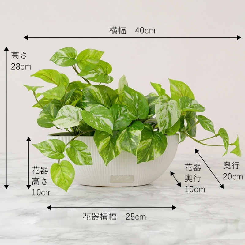 アートフラワー エミリオ・ロバ ポトスL TTTTA05120