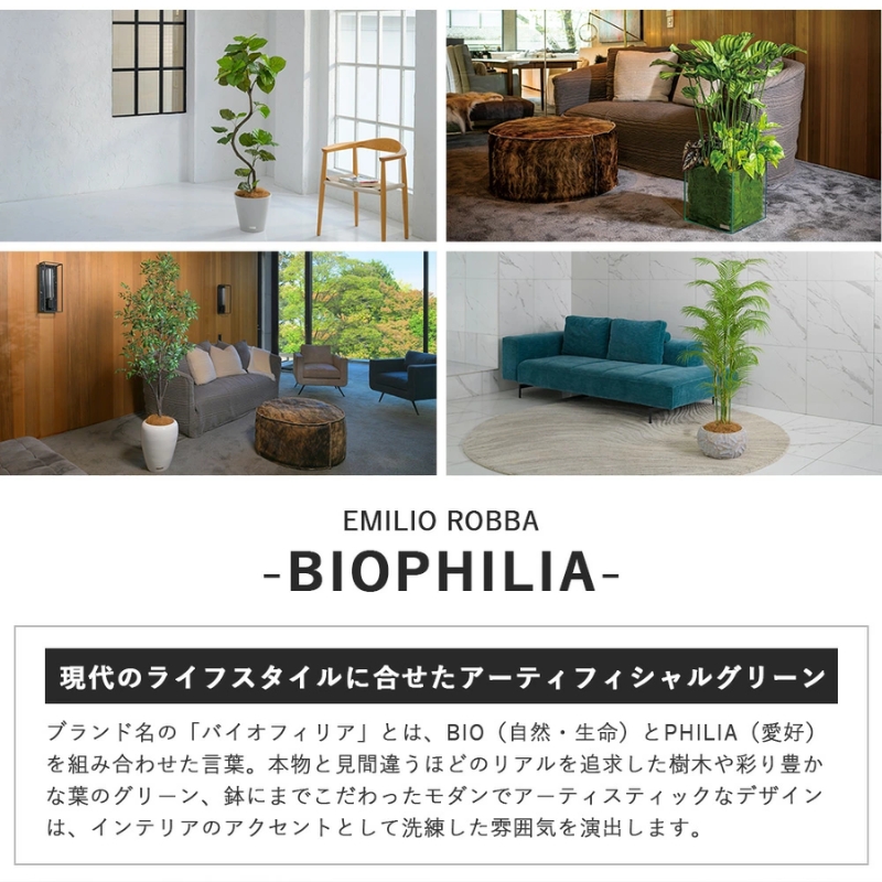 アートフラワー エミリオ・ロバ ツピタンサス TUTTA03350