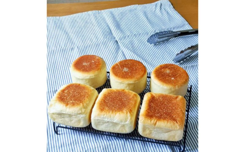はちみつ酵母のパン　ハニーフロマージュ　12個セット　パン ぱん 朝食 おやつ お菓子 ご褒美 チーズ はちみつ酵母
