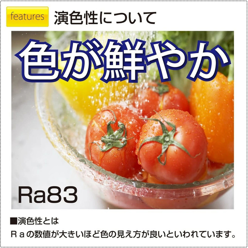 LED ペンダントライト RV60049 洋風 6畳用 プルスイッチ 日本製 照明 省エネ 簡単操作 ライト 天井 リビング 寝室 ダイニング キッチン 台所 TAKIZUMI 瀧住電機工業