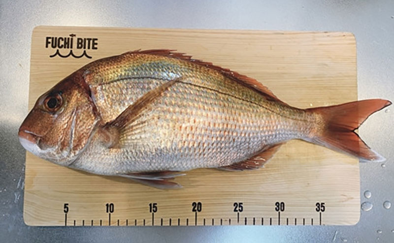 【FUCHI BITE】 スケール付き 木製まな板（ヒノキ） 木製 ヒノキ 檜 木工品 卓上 国産 キッチン用品 キッチングッズ 調理器具 日用品 日用雑貨 アウトドア キャンプ カットボード カッティングボード