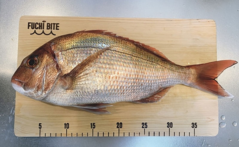 【FUCHI BITE】 スケール付き 木製まな板（青森ヒバ） 木製 青森ひば 青森ヒバ 木工品 卓上 国産 キッチン用品 キッチングッズ 調理器具 日用品 日用雑貨 アウトドア キャンプ カットボード カッティングボード