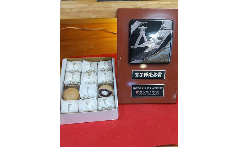 【全国菓子大博覧会「菓子博栄誉賞」受賞】 寳玉(ほうぎょく）もち入り最中　16個入り（クール便）