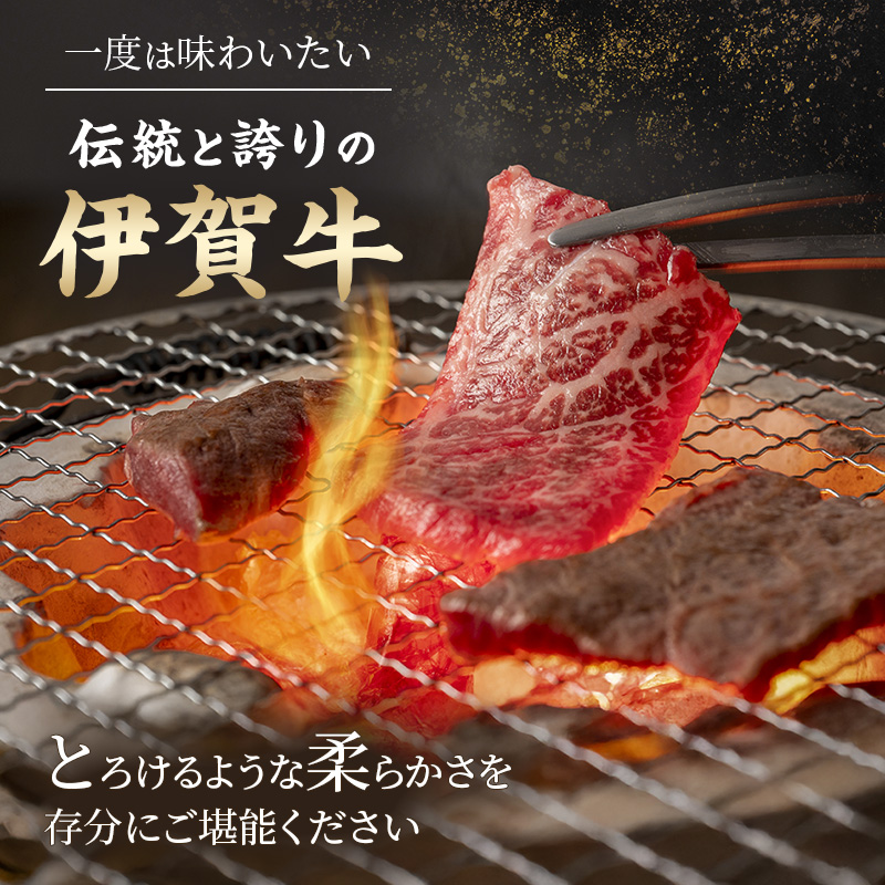伊賀忍者ビーフ【伊賀牛】焼肉用3種600g（ロース200g,モモ200g,バラ200g）