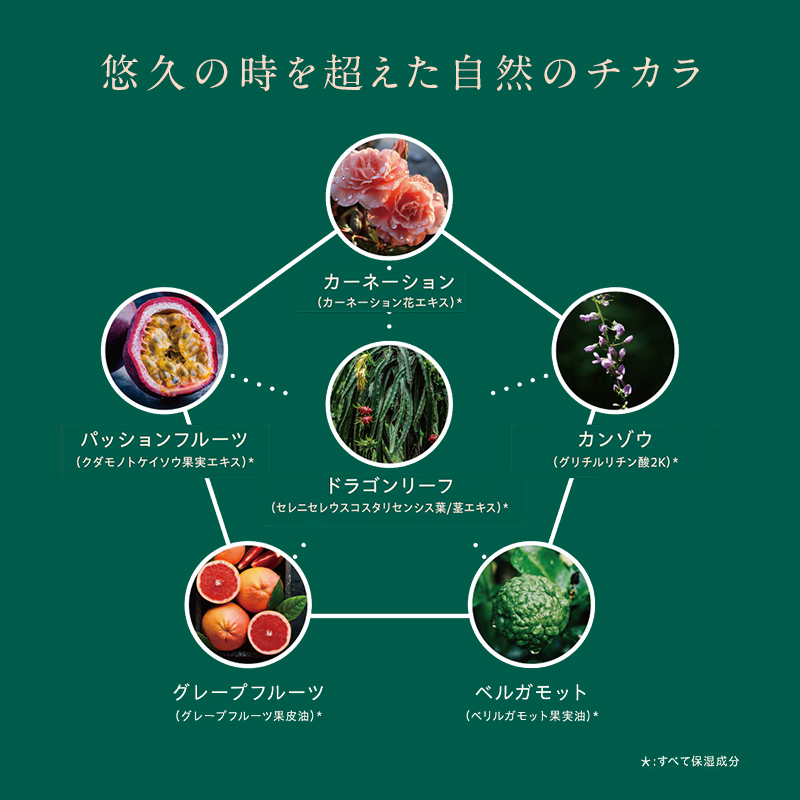 自然の恵みと美容の知恵で、肌の未来を育む Natereonフェイスマスク　10箱(計50枚)　個別包装　フェイスパック シートマスク パック 美容 保湿 エイジングケア ハリ うるおい 敏感肌 日本製