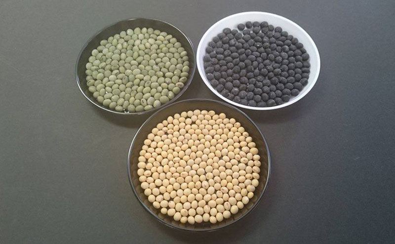 米麹ãåœæŽ¥ã¿ã3çš®ã»ãããçœãé»ãé倧è±ãšãç±³ã»ãã ã³ã·ãã«ãª 3幎é£ç¶ ç¹A ç±³ ããã²ãã ã飯 ãã¯ã çœç±³ 粟米 äžéç å匵åž