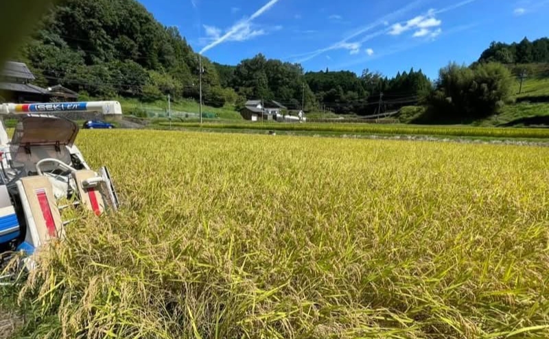 米麹ãåœæŽ¥ã¿ã3çš®ã»ãããçœãé»ãé倧è±ãšãç±³ã»ãã ã³ã·ãã«ãª 3幎é£ç¶ ç¹A ç±³ ããã²ãã ã飯 ãã¯ã çœç±³ 粟米 äžéç å匵åž