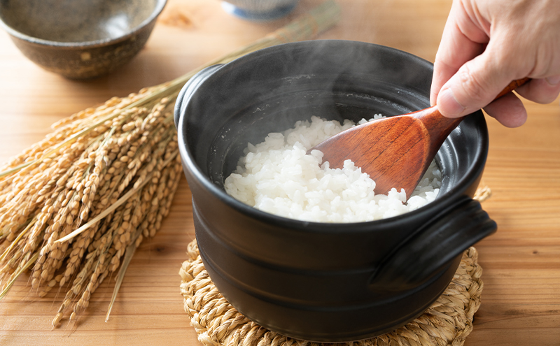 蜈郁。瑚イゥ螢イシ∽サ、蜥8蟷エ蠎ヲ逕」縲莨願ウ逕」繧ウ繧キ繝偵き繝ェ縲讌オ荳翫邂ク縺イ縺九j(邊セ邀ウ逵溽ゥコ繝代ャ繧ッ)900ステ3陲 繧ウ繧キ繝偵き繝ェ 3蟷エ騾」邯 迚ケA 邀ウ 縺薙@縺イ縺九j 縺秘」ッ 縺斐ッ繧 逋ス邀ウ 邊セ邀ウ 荳蛾咲恁 蜷榊シオ蟶