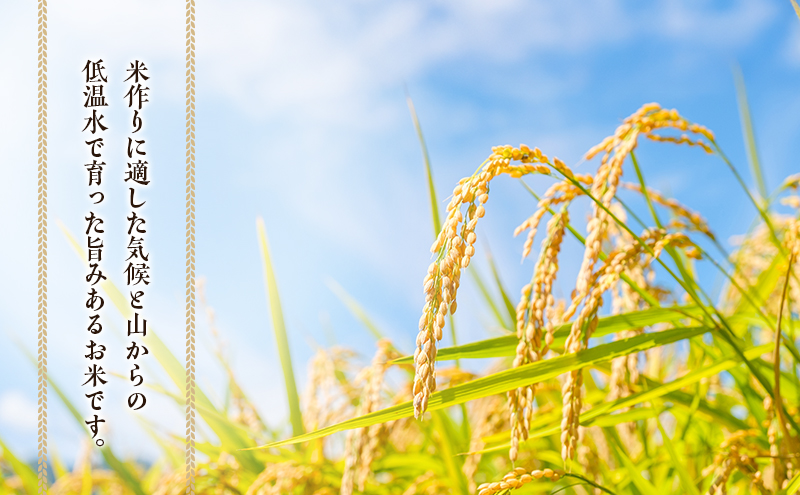 兼業農家の底チカラ！ 松本農園 令和7年産 伊賀米コシヒカリ 2kg 3年連続 特A 米 こしひかり ご飯 ごはん 白米 精米 三重県 名張市