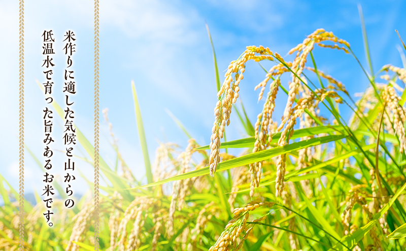 兼業農家の底チカラ！ 川北農園 令和7年産 伊賀米コシヒカリ 2kg 3年連続 特A 米 こしひかり ご飯 ごはん 白米 精米 三重県 名張市