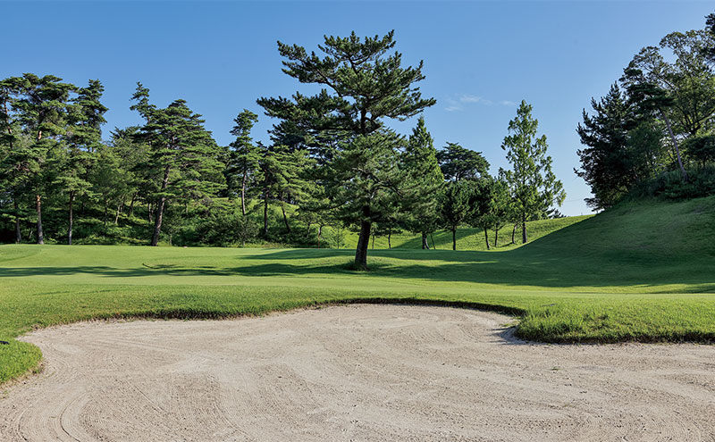 譯疲「励′荳倥ざ繝ォ繝輔さ繝シ繧ケ 蝨滓律逾 1蜷肴ァ 繝励Ξ繝シ蛻ク