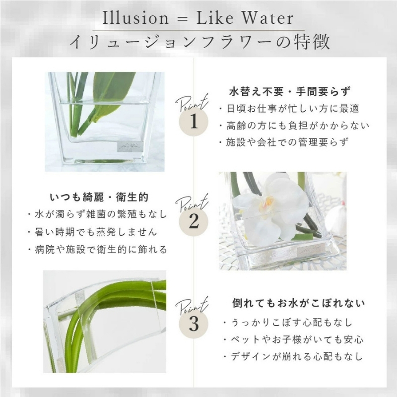 アートフラワー エミリオ・ロバ ファレノプシス6W TTNTA-03150