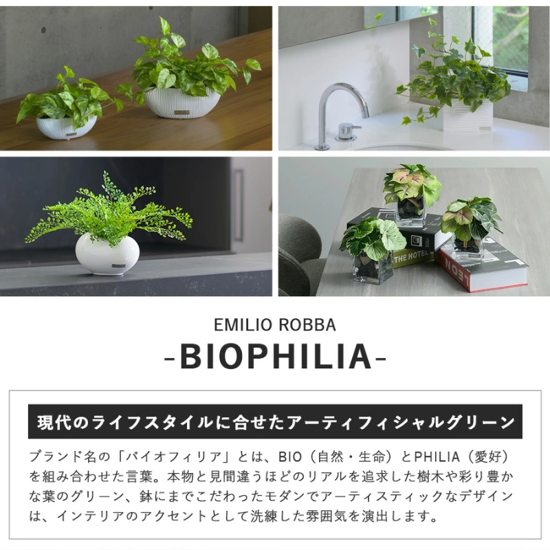 アートフラワー エミリオ・ロバ アジアンタム TTTTA03070