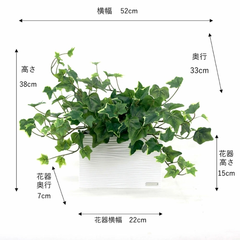 繧「繝シ繝医ヵ繝ゥ繝ッ繝シ 繧ィ繝溘Μ繧ェ繝サ繝ュ繝 繧「繧、繝薙シL TTTTA-02120