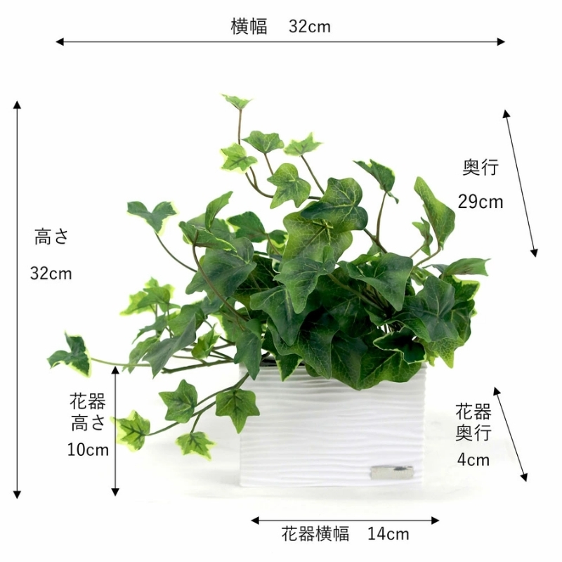 繧「繝シ繝医ヵ繝ゥ繝ッ繝シ 繧ィ繝溘Μ繧ェ繝サ繝ュ繝 繧「繧、繝薙シS TTTTA-01070
