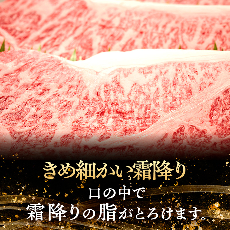 極撰伊賀牛サーロインステーキ3枚