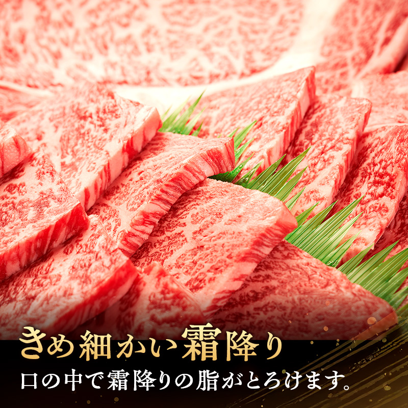肉の横綱　伊賀牛　バーベキューセット2　800g(リブステーキ、上ロース、上カルビ、厚切り牛タン)/冷凍発送　焼肉　産直　自家牧場　奥田　オクダ