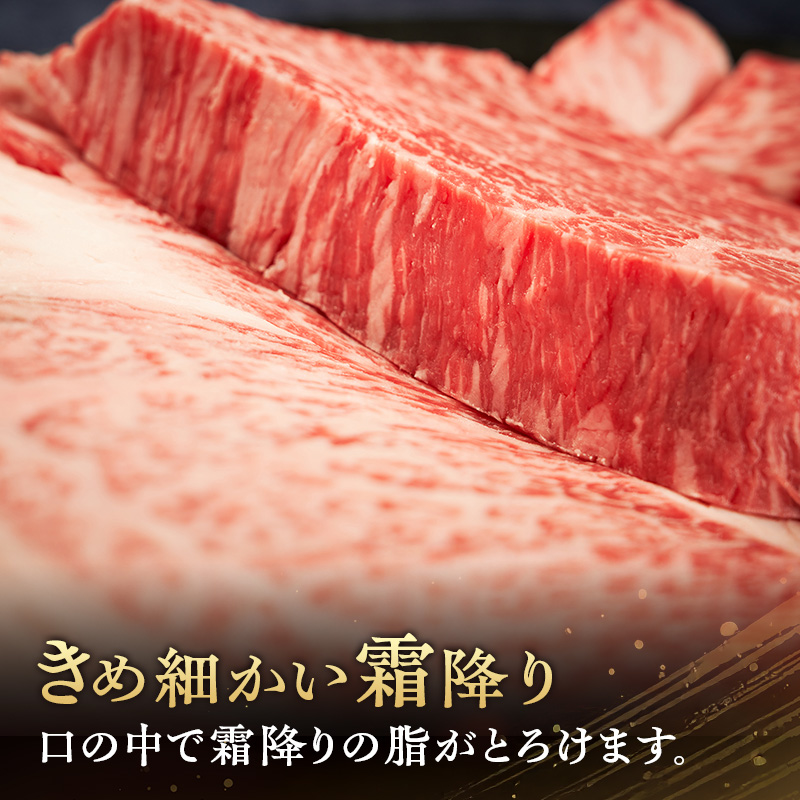 伊賀牛ステーキセット (約550g)