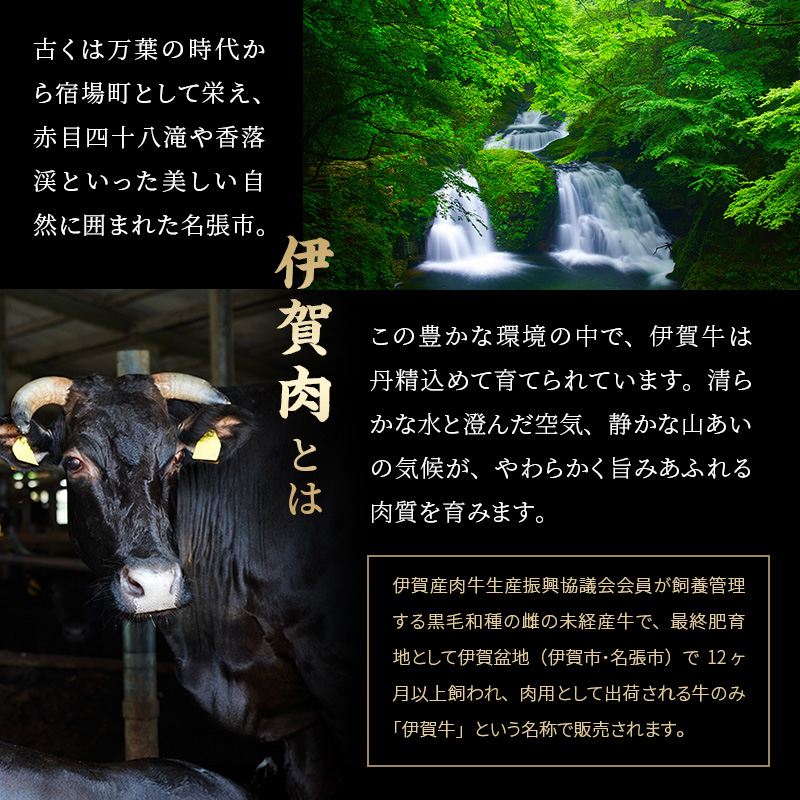 伊賀 忍者ビーフ ヒレ ステーキ 120g×3枚