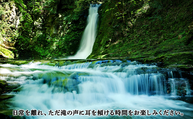 【光と水の幻想体験】滝あかりライトアップも楽しめる、赤目四十八滝招待券（3名様）| チケット 券 お出かけ ライトアップ 体験