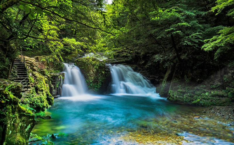 【光と水の幻想体験】滝あかりライトアップも楽しめる、赤目四十八滝招待券（3名様）| チケット 券 お出かけ ライトアップ 体験