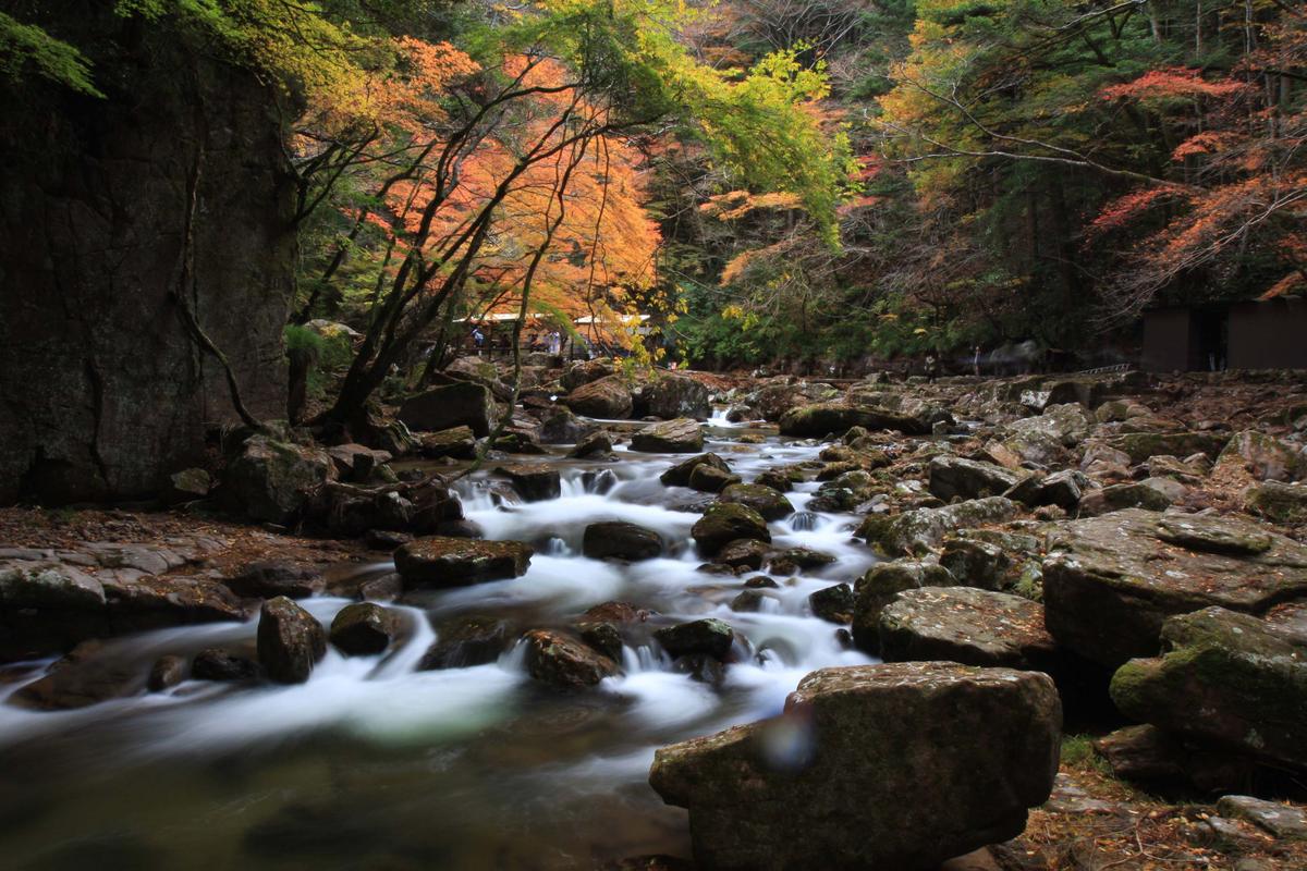 【光と水の幻想体験】赤目四十八滝招待券（3名様）| チケット 券 お出かけ 体験