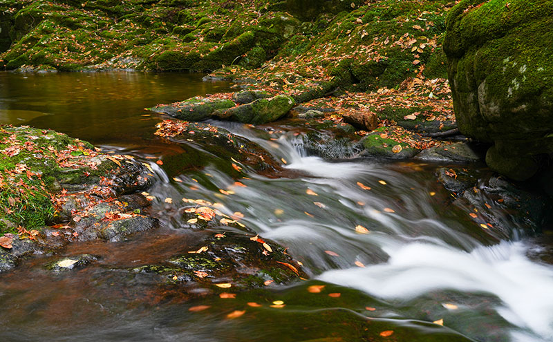 【光と水の幻想体験】赤目四十八滝招待券（3名様）| チケット 券 お出かけ 体験