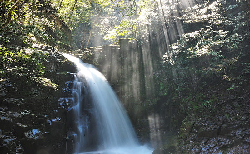 【光と水の幻想体験】滝あかりライトアップも楽しめる、赤目四十八滝招待券（1名様）| チケット 券 お出かけ ライトアップ 体験