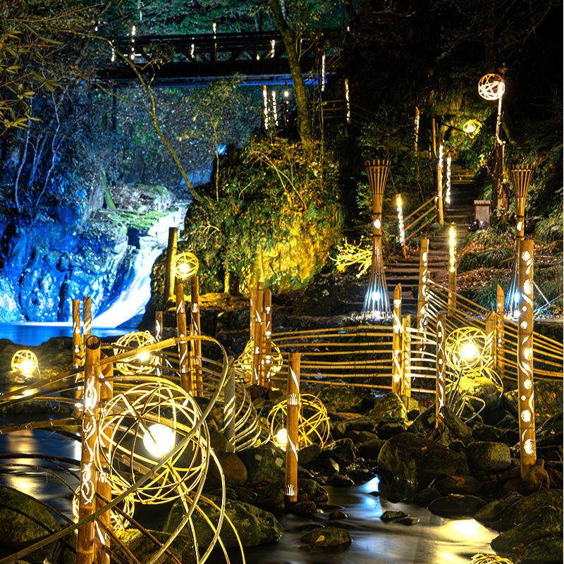 ãå
ãšæ°Žã®å¹»æ³äœéšãæ»ãããã©ã€ãã¢ãããæ¥œããããèµ€ç®ååå
«æ»æåŸ
åžïŒ2åæ§ïŒ| ãã±ãã åž ãåºãã ã©ã€ãã¢ãã äœéš