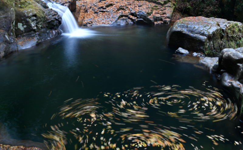 【光と水の幻想体験】赤目四十八滝招待券（2名様）| チケット 券 お出かけ 体験