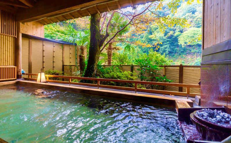 äŒè³ã®ããã宿 èµ€ç®æž©æ³é ãã®æ¹¯ 察æ³é£ã§äœ¿ããã60,000åå宿æ³ã®ããåžïŒèµ€ç®ååå
«æ»æåŸ
åžãå€éã©ã€ãã¢ãããæ¥œããã2åæ§åãä»ãïŒ