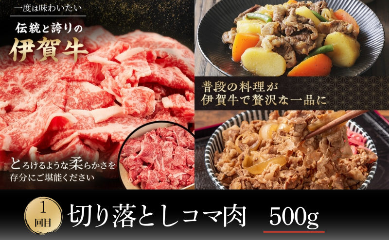 伊賀牛 3ヶ月連続お届け 定期便 B [ 伊賀忍者ビーフ 切り落とし コマ肉 コロッケ ミンチボール ヒレ ステーキ ] 丸福精肉店 牛肉 高級 和牛 肉 伊賀牛肉 伊賀 人気 自宅用 グルメ お取り寄せ 誕生日 お祝い ご馳走 パーティー 贅沢 三重 三重県