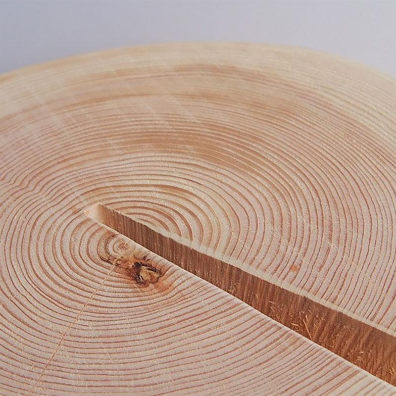 MORITO縲譽ョ縺ョ荳ク螟ェ繧ケ繝繝シ繝ォシ懊ヲ繝弱く謖√■謇倶サ倥″シ冗」ィ縺堺クク螟ェ莉穂ク翫£シ槭繧ェ繝繝医槭Φ 讀蟄