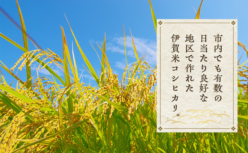 売切御免！専業農家の令和7年産 伊賀米コシヒカリ 10kg 3年連続 特A 米 こしひかり ご飯 ごはん 白米 精米 三重県 名張市