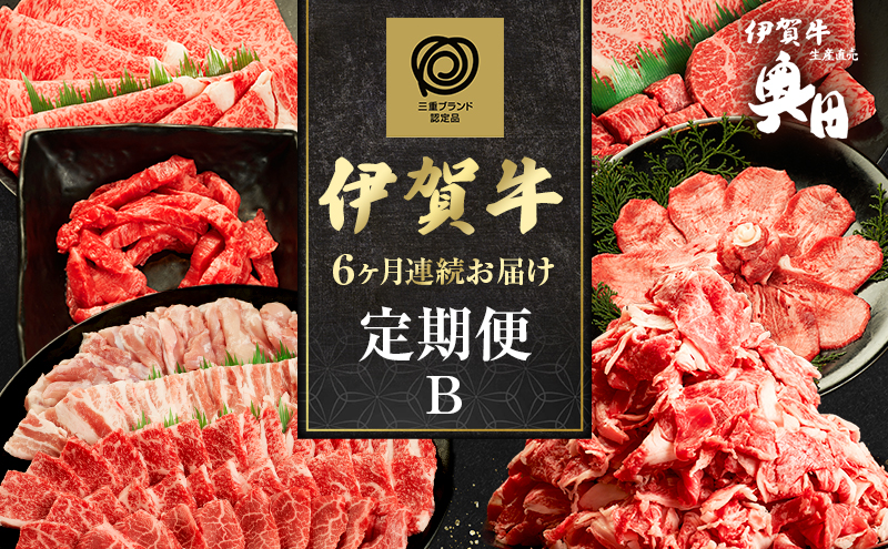 伊賀牛 6ヶ月連続お届け 定期便 B [ 伊賀牛切り落とし 焼肉セット5人盛り すき焼きセット 伊賀牛ステーキセット 伊賀牛ユッケ 伊賀牛タン ] オクダ 牛肉 高級 和牛 肉 伊賀牛肉  伊賀 人気 自宅用 グルメ お取り寄せ 誕生日 お祝い  贅沢 三重