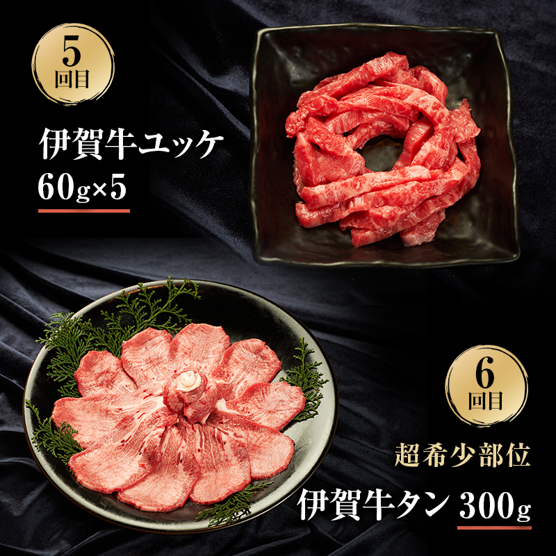 伊賀牛 6ヶ月連続お届け 定期便 B [ 伊賀牛切り落とし 焼肉セット5人盛り すき焼きセット 伊賀牛ステーキセット 伊賀牛ユッケ 伊賀牛タン ] オクダ 牛肉 高級 和牛 肉 伊賀牛肉  伊賀 人気 自宅用 グルメ お取り寄せ 誕生日 お祝い  贅沢 三重