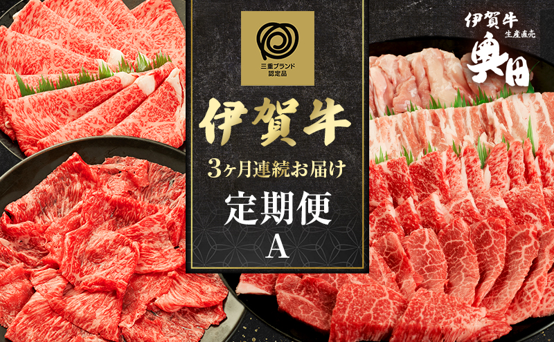 伊賀牛 3ヶ月連続お届け 定期便 A [ 伊賀牛牛トロ刺し すき焼きセット 焼肉セット5人盛り ] オクダ 牛肉 高級 和牛 肉 伊賀牛肉 伊賀 人気 自宅用 グルメ お取り寄せ 誕生日 お祝い ご馳走 パーティー 贅沢 三重 三重県