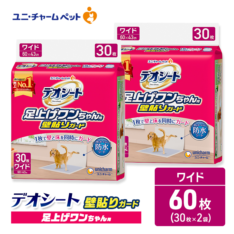 繝ヲ繝九サ繝√Ε繝シ繝 繝繧ェ繧キ繝シ繝 雜ウ荳翫£ 繝ッ繝ウ縺。繧繧鍋畑 螢∬イシ繧 繧ャ繝シ繝 30譫堙2