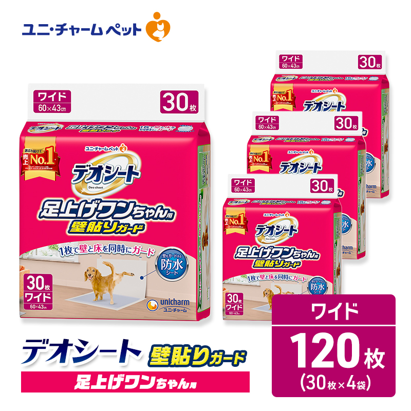繝ヲ繝九サ繝√Ε繝シ繝 繝繧ェ繧キ繝シ繝 雜ウ荳翫£ 繝ッ繝ウ縺。繧繧鍋畑 螢∬イシ繧 繧ャ繝シ繝 30譫堙4