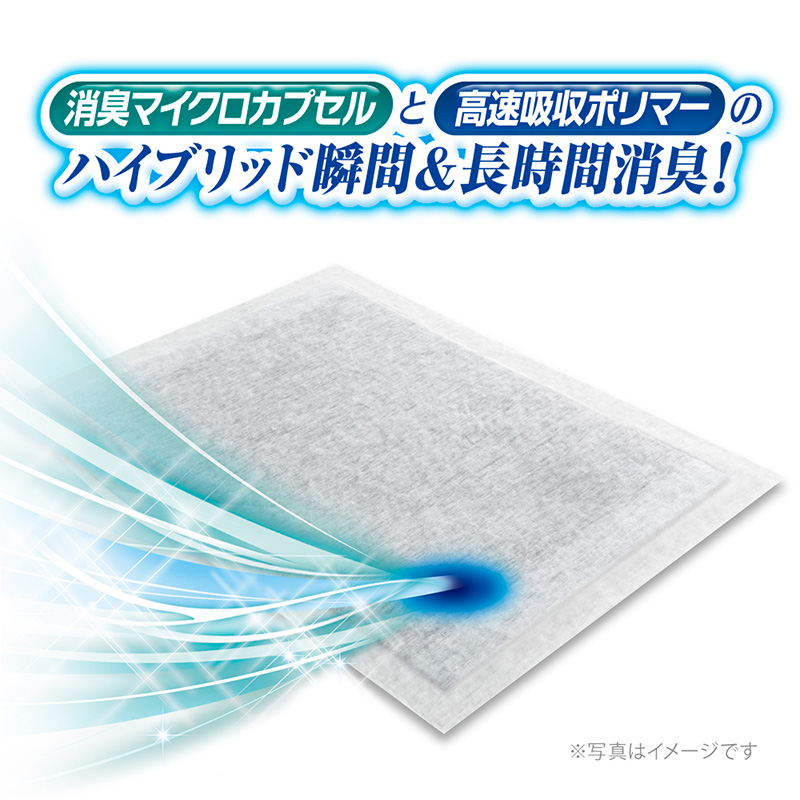 【定期便2回】デオシート PREMIUM 12時間 超消臭＆超吸収 ワイド 42枚×4 ペットシーツ ペットシート トイレ 犬 犬用トイレ ペット 清潔 ユニ・チャーム 愛犬用 ペット用品 2ヶ月連続お届け