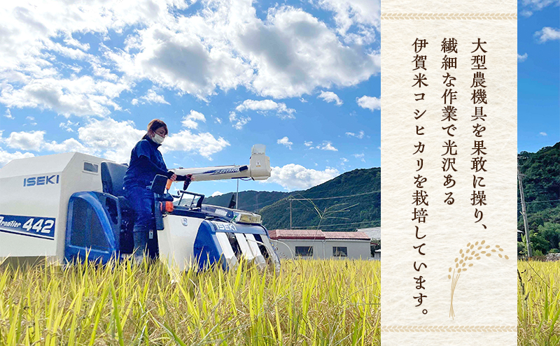 3姉妹が育てたお米　令和7年産　伊賀米コシヒカリ 10kg　3年連続 特A 米 こしひかり ご飯 ごはん 白米 精米 三重県 名張市