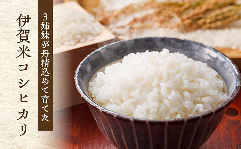 3姉妹が育てたお米　令和7年産　伊賀米コシヒカリ 2kg　3年連続 特A 米 こしひかり ご飯 ごはん 白米 精米 三重県 名張市