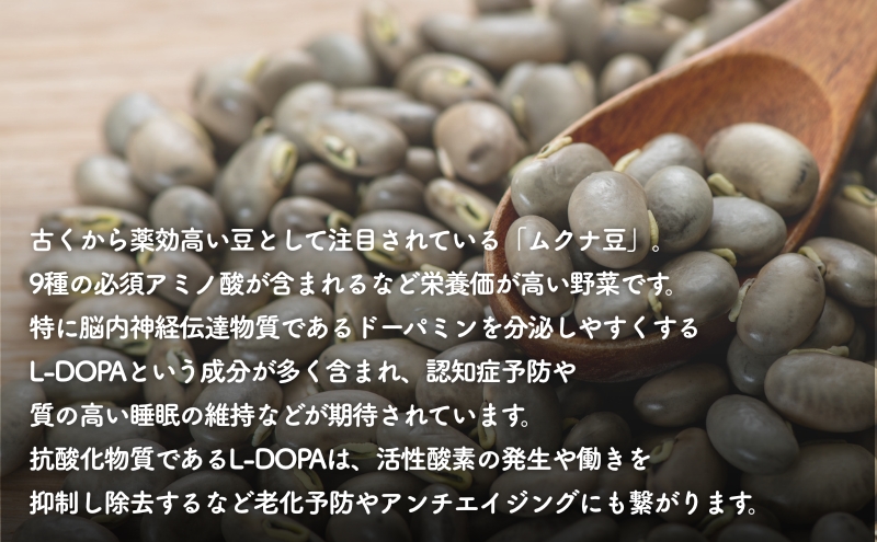お茶 健康茶 ムクナ豆 ティーバッグ 三重県 名張市 第三制作 カフェインレス 飲みやすい 健康 ヘルシー ギフト 贈り物 焙煎 自然 ノンカフェイン マイルド ダイエット 体質 栄養 サプリ 自然派 オーガニック 温活 朝活