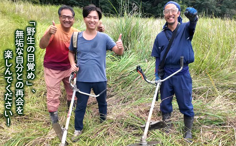 野生の目覚め～焙煎ムクナ豆茶ティーバッグ～　ムクナ お茶 健康茶