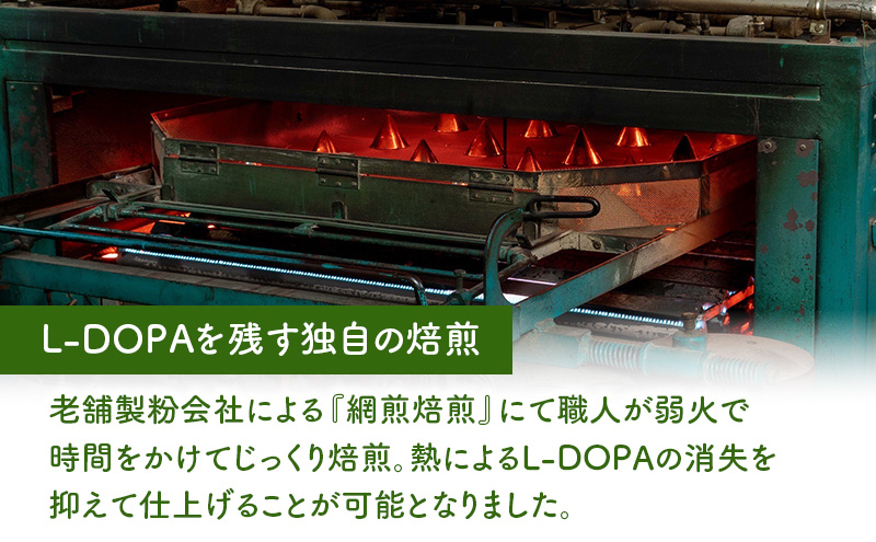 お茶 健康茶 ムクナ豆 ティーバッグ 三重県 名張市 第三制作 カフェインレス 飲みやすい 健康 ヘルシー ギフト 贈り物 焙煎 自然 ノンカフェイン マイルド ダイエット 体質 栄養 サプリ 自然派 オーガニック 温活 朝活