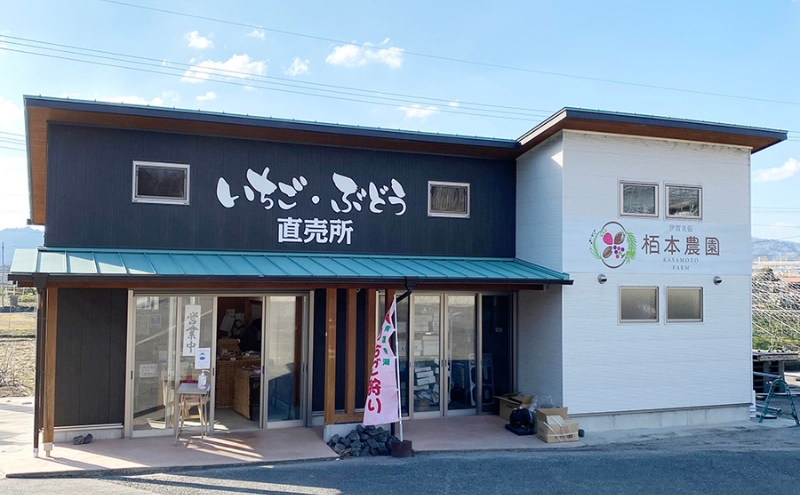 【青蓮寺産苺使用】冬季限定・採れたて苺の「桜いちご大福」（20個入） いちご大福 冬季限定 採れたて 苺 イチゴ いちご 桜餡 桜 さくら 桜の香り 甘酸っぱい 青蓮寺 三重県 名張市