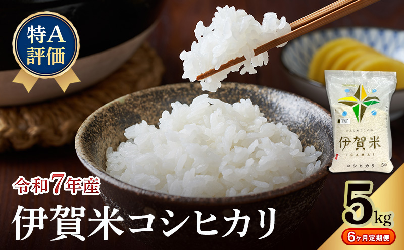 【特A評価・6ヶ月定期便】令和7年産 伊賀米コシヒカリ5kg（精米）　お米 米 白米 こしひかり ごはん 三重県 名張市