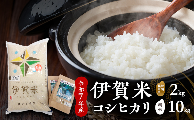 縲千イセ邀ウ縲台サ、蜥7蟷エ逕」縲莨願ウ邀ウ繧ウ繧キ繝偵き繝ェ縲10kg+迚ケ蛻・邀ウ2kg縲縺顔アウ 邀ウ 逋ス邀ウ 縺薙@縺イ縺九j 縺斐ッ繧 荳蛾咲恁 蜷榊シオ蟶