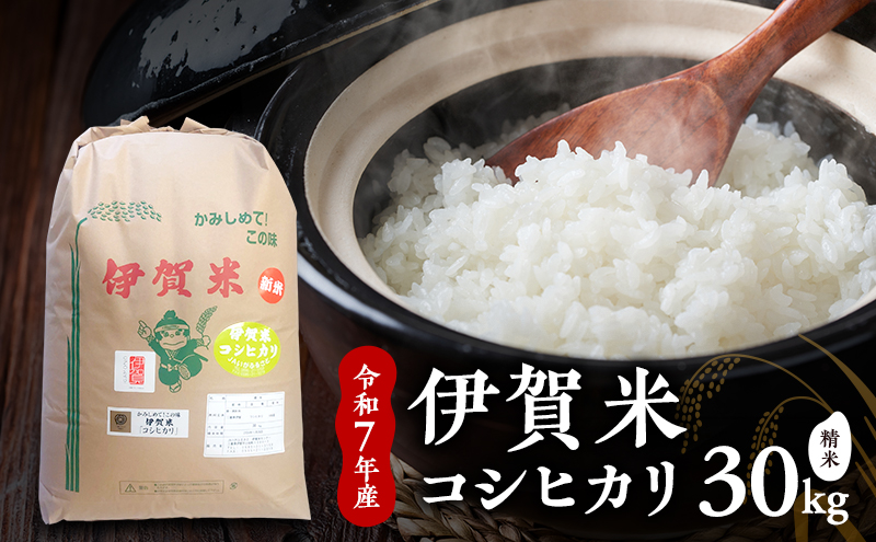 コシヒカリ [精米]令和7年産 伊賀米コシヒカリ 27kg 白米 お米 米 ごはん もっちり 産地直送 農家直 三重県 名張市 新米 美味しい おいしい 銘柄米